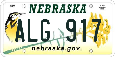 NE license plate ALG917