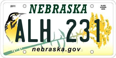NE license plate ALH231