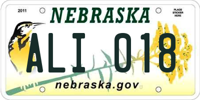 NE license plate ALI018