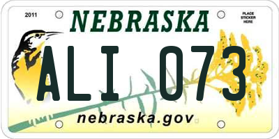 NE license plate ALI073