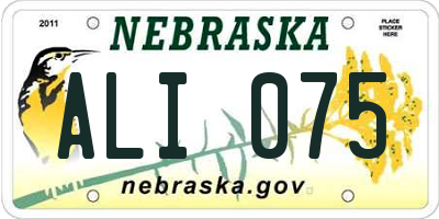 NE license plate ALI075