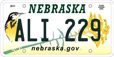 NE license plate ALI229