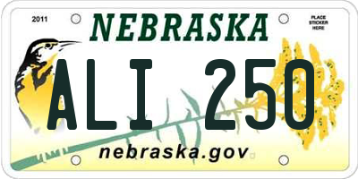NE license plate ALI250