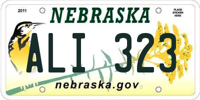 NE license plate ALI323