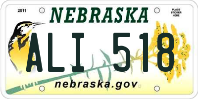 NE license plate ALI518