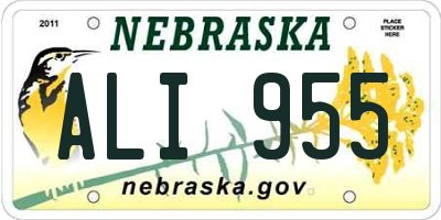 NE license plate ALI955