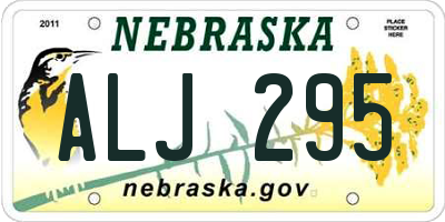 NE license plate ALJ295