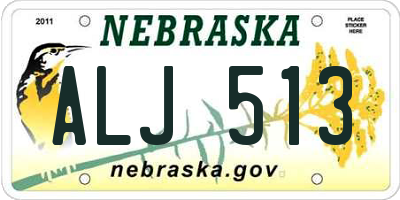 NE license plate ALJ513