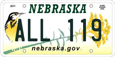 NE license plate ALL119