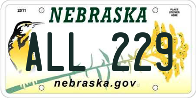 NE license plate ALL229