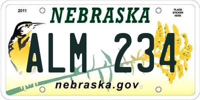 NE license plate ALM234