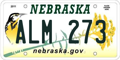 NE license plate ALM273