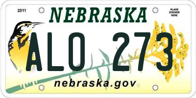 NE license plate ALO273
