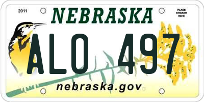 NE license plate ALO497