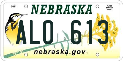 NE license plate ALO613