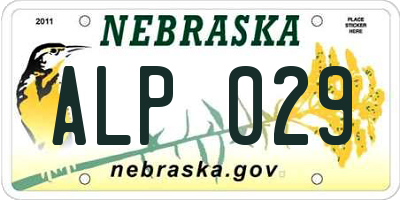 NE license plate ALP029