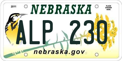 NE license plate ALP230