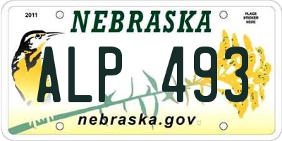 NE license plate ALP493