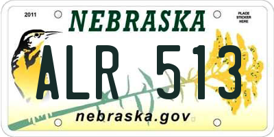 NE license plate ALR513