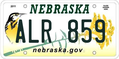 NE license plate ALR859