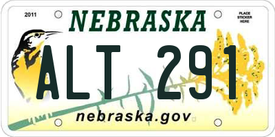 NE license plate ALT291