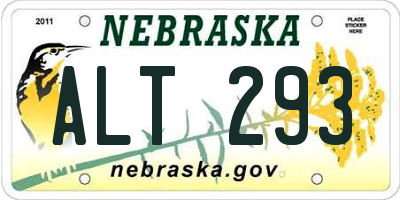 NE license plate ALT293