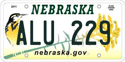 NE license plate ALU229