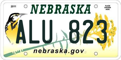 NE license plate ALU823