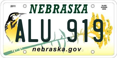 NE license plate ALU919