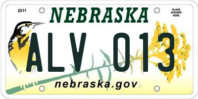 NE license plate ALV013