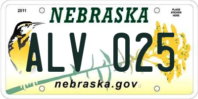NE license plate ALV025