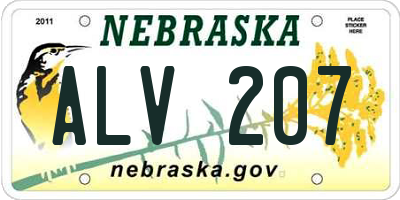 NE license plate ALV207