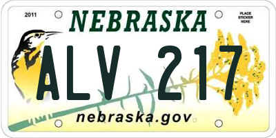 NE license plate ALV217