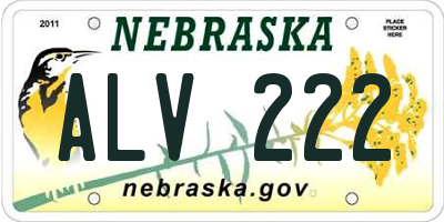NE license plate ALV222