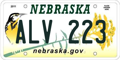NE license plate ALV223