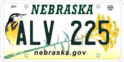 NE license plate ALV225