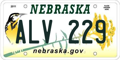 NE license plate ALV229
