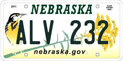 NE license plate ALV232
