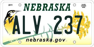 NE license plate ALV237