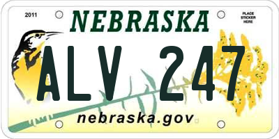 NE license plate ALV247