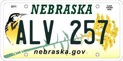 NE license plate ALV257