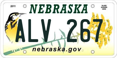 NE license plate ALV267