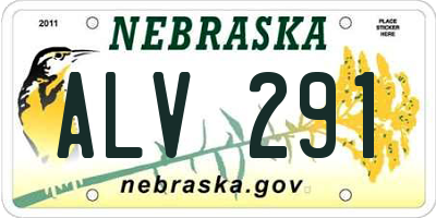 NE license plate ALV291