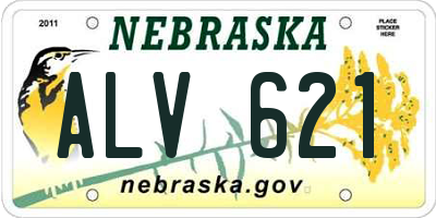 NE license plate ALV621