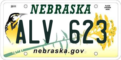 NE license plate ALV623
