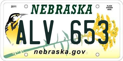 NE license plate ALV653