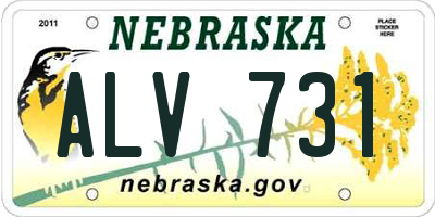 NE license plate ALV731