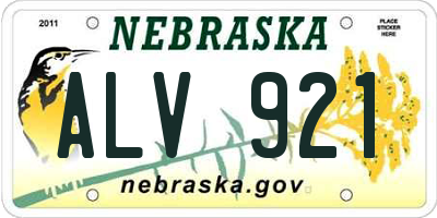 NE license plate ALV921