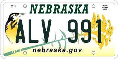 NE license plate ALV991