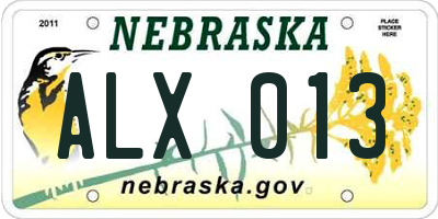 NE license plate ALX013